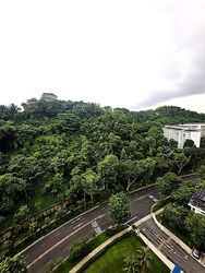 Blk 39 Telok Blangah Rise (Bukit Merah), HDB 5 Rooms #562864701